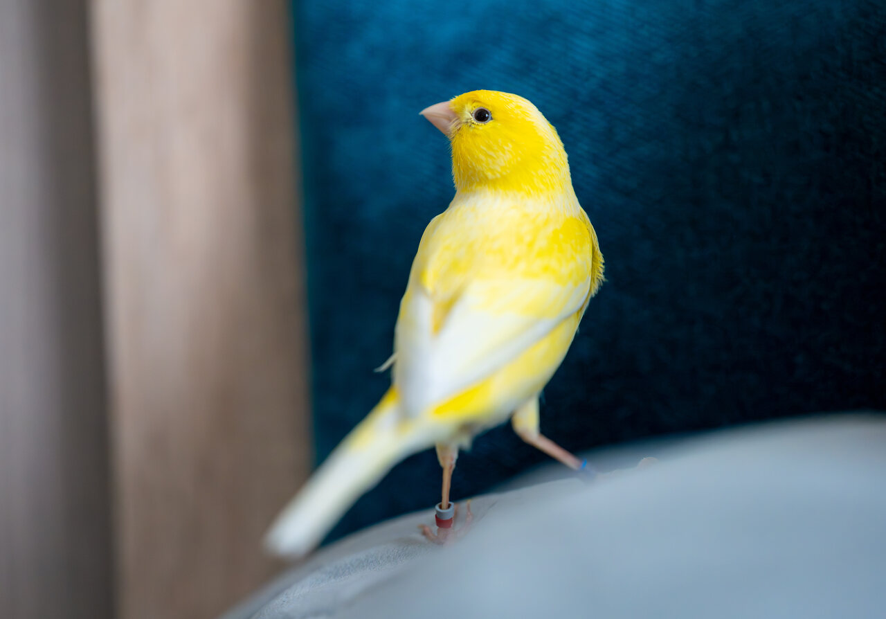 Blog-Small